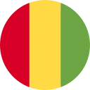 Guinea frank